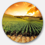 Sunset Vineyard Panorama - Landscape Circle Metal Wall Decor