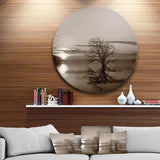 Flying Birds and Lonely Tree - Landscape Circle Metal Wall Decor