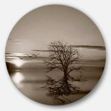 Flying Birds and Lonely Tree - Landscape Circle Metal Wall Decor