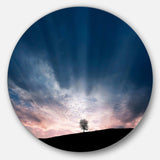 Flock of Birds and Lonely Tree - Landscape Round Metal Wall Art