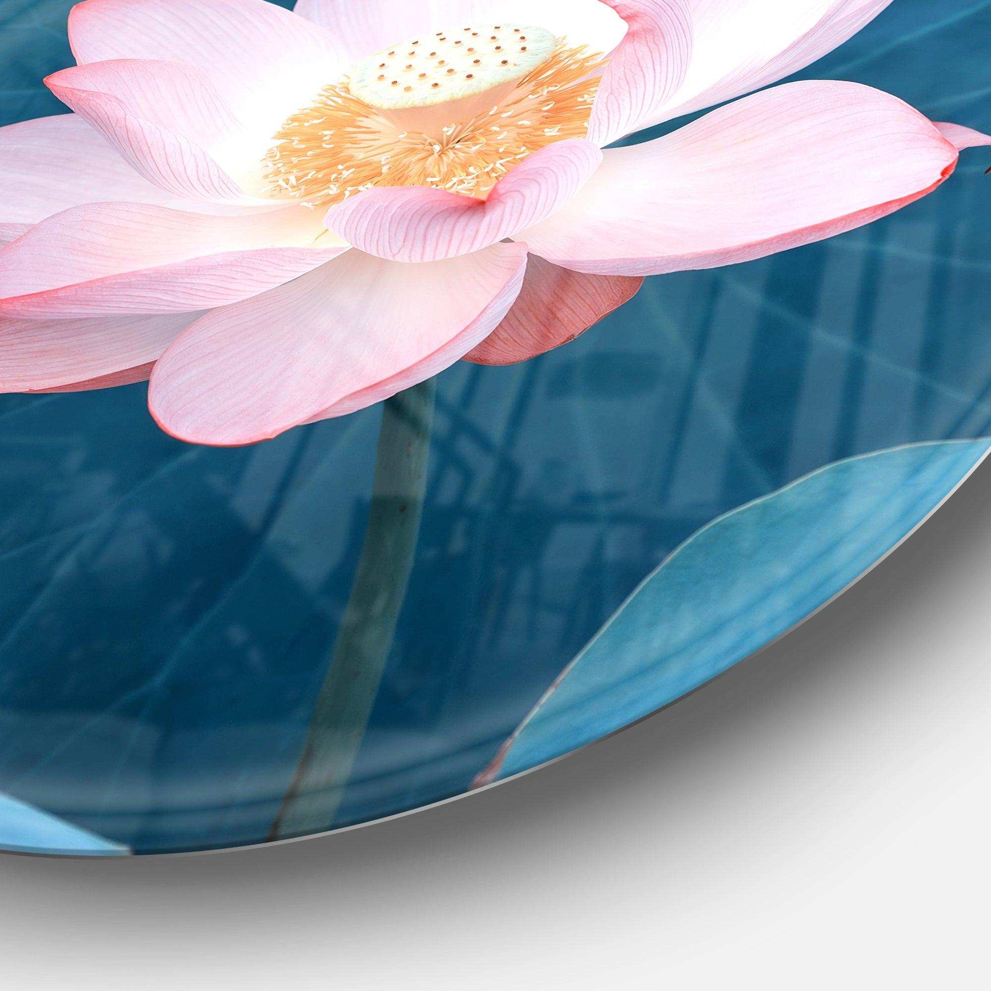 Blooming Pink Lotus Flower - Sea & Shore Round Metal Wall Art