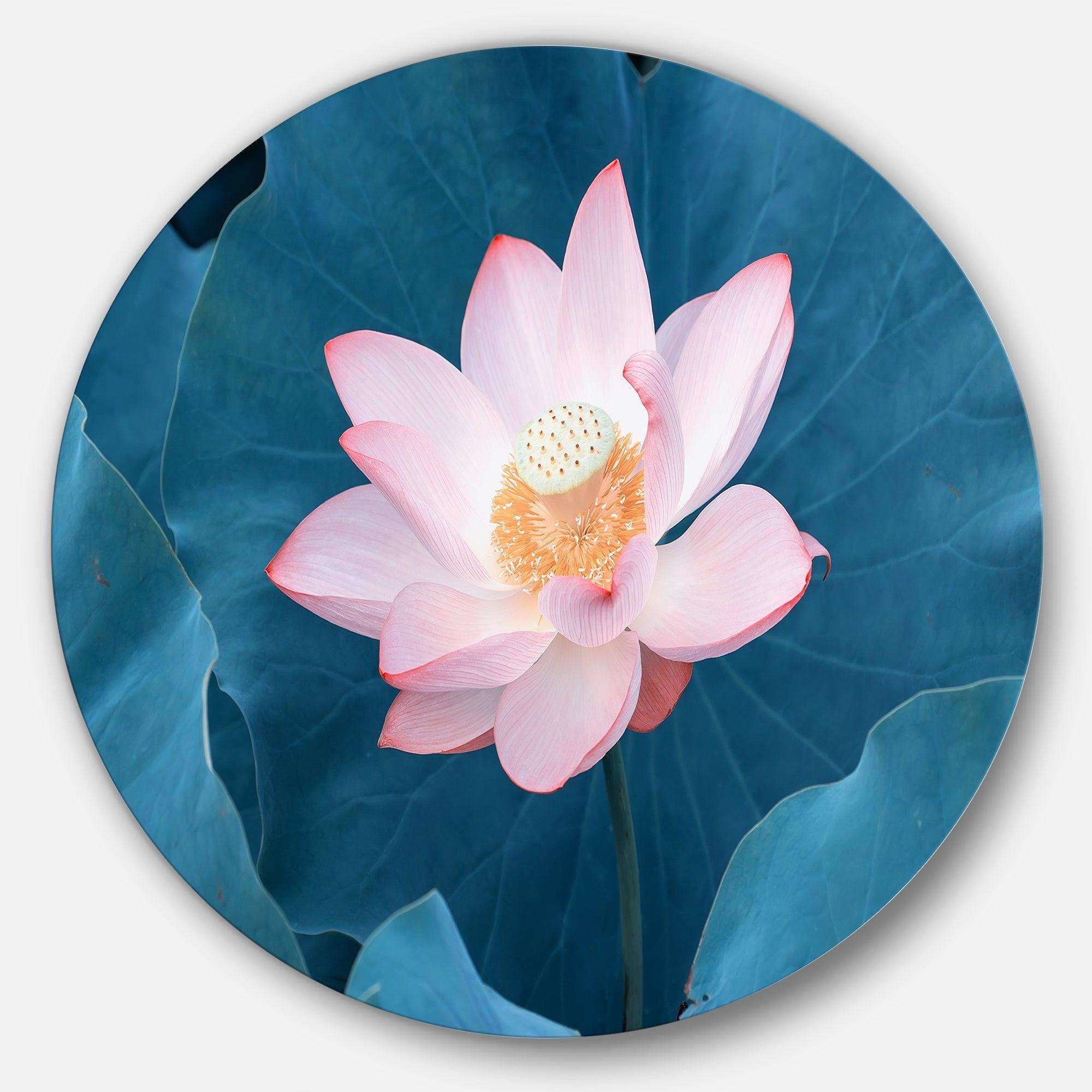 Blooming Pink Lotus Flower - Sea & Shore Round Metal Wall Art