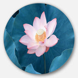 Blooming Pink Lotus Flower - Sea & Shore Round Metal Wall Art