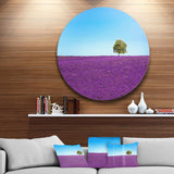 Lonely Tree in Lavender Field - Landscape Round Metal Wall Art