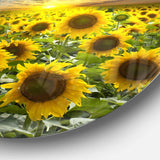 Field of Blooming Sunflowers - Floral Large Metal Circle Wall Art
