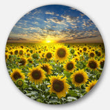 Field of Blooming Sunflowers - Floral Large Metal Circle Wall Art