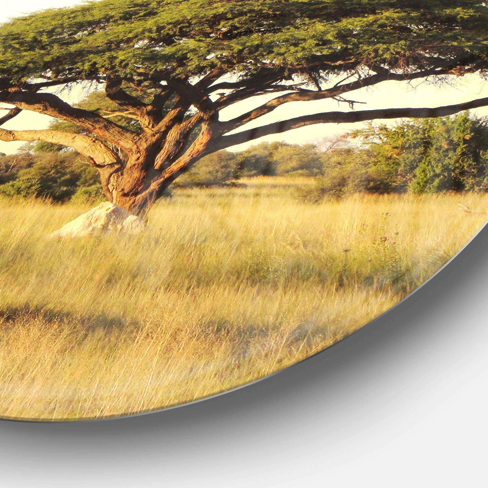 Acacia Tree on African Plain Oversized African Landscape Metal Circle Wall Art