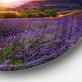 Beautiful Sunset over Lavender Field - Floral Round Metal Wall Art