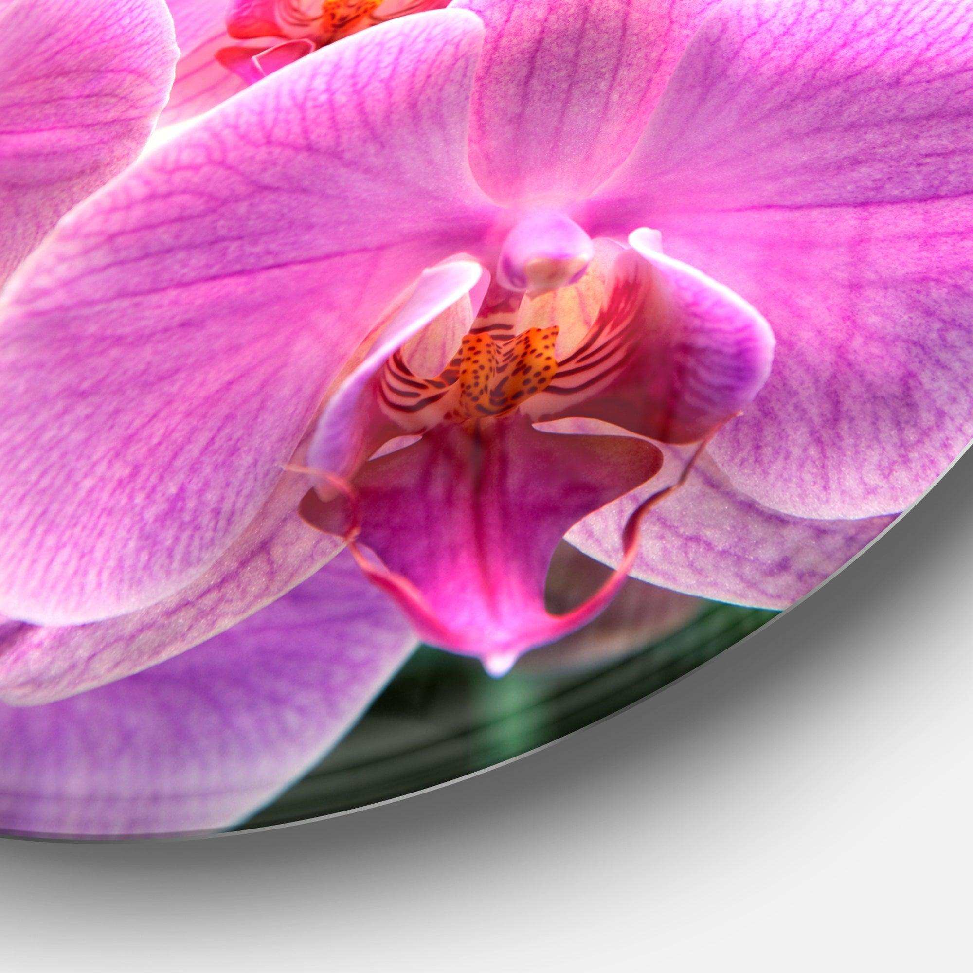 Beautiful Purple Orchid Flowers - Floral Round Metal Wall Art