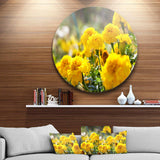 Bright Yellow Marigold Flowers - Floral Metal Circle Wall Art