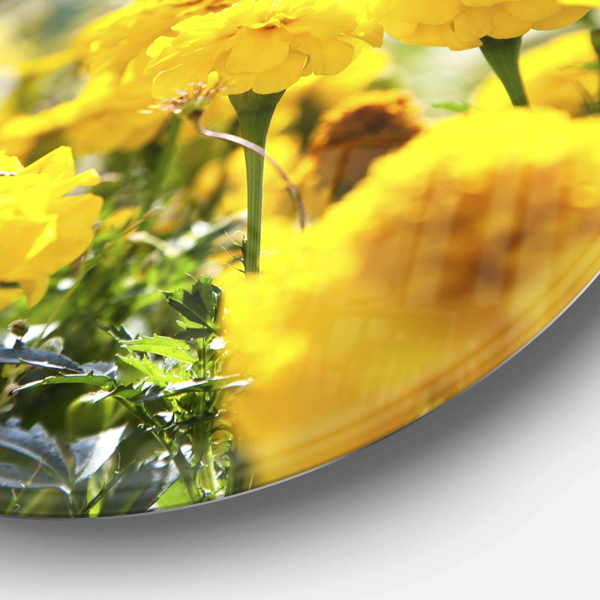 Bright Yellow Marigold Flowers - Floral Metal Circle Wall Art