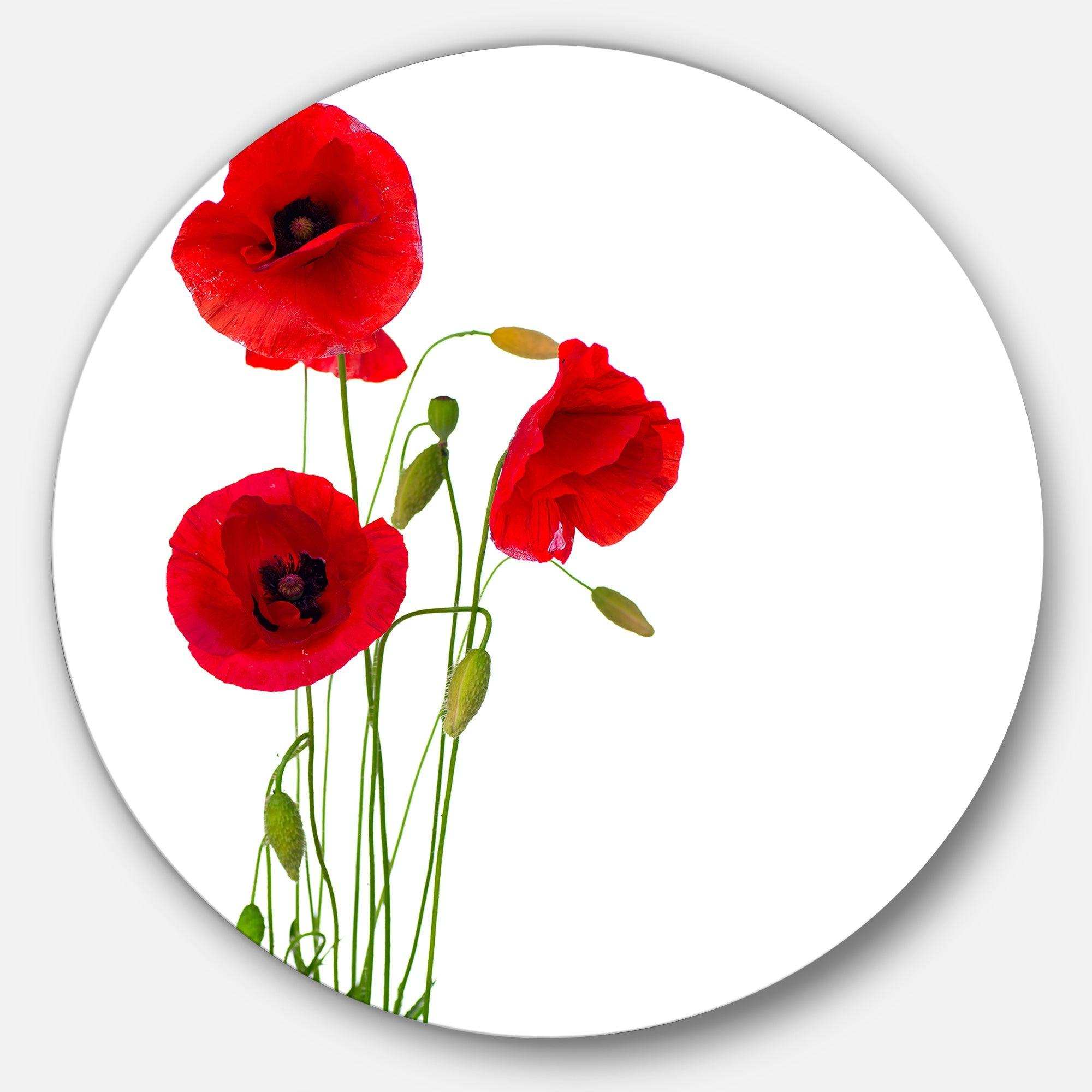 Isolated Red Poppy Flowers - Floral Metal Circle Wall Art