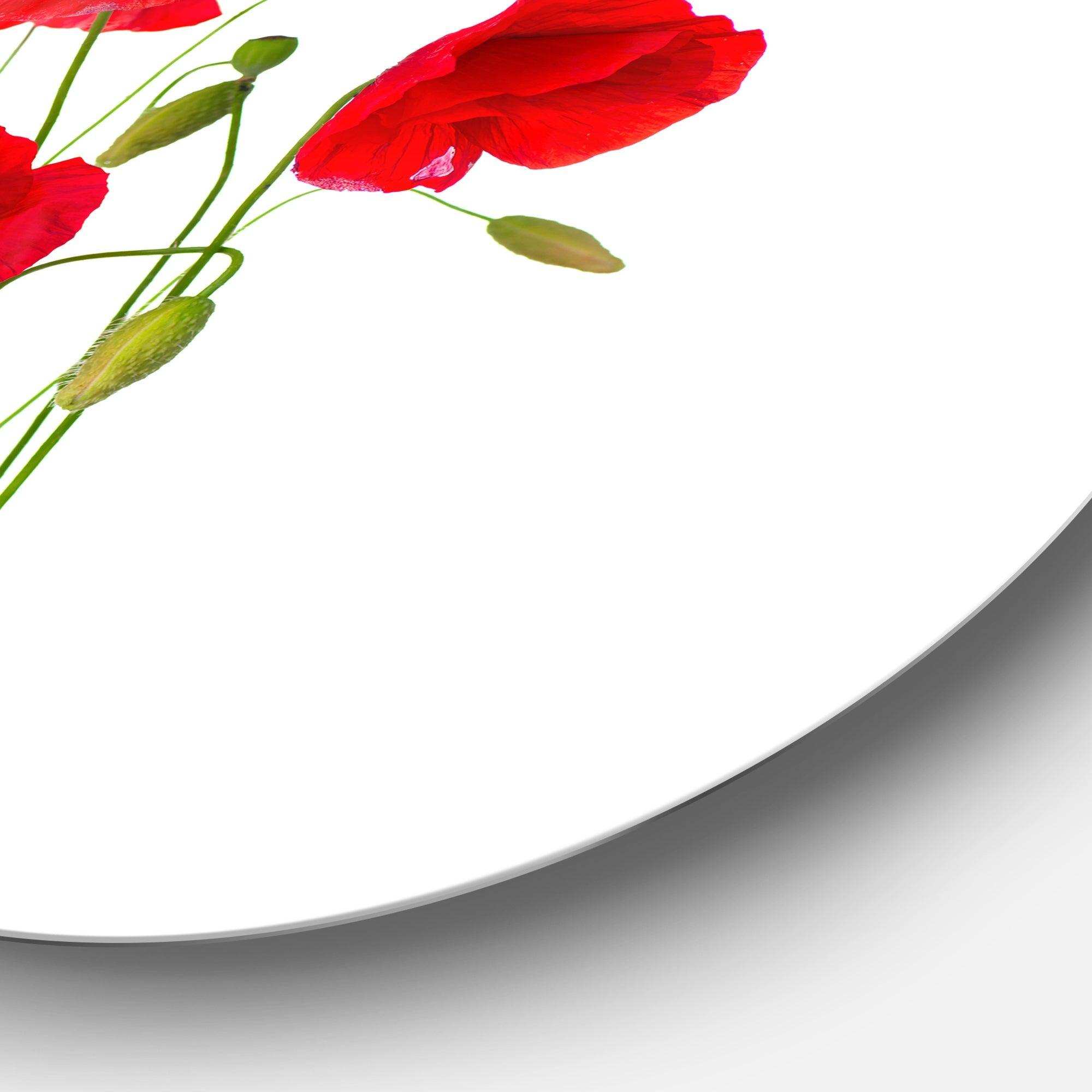 Isolated Red Poppy Flowers - Floral Metal Circle Wall Art