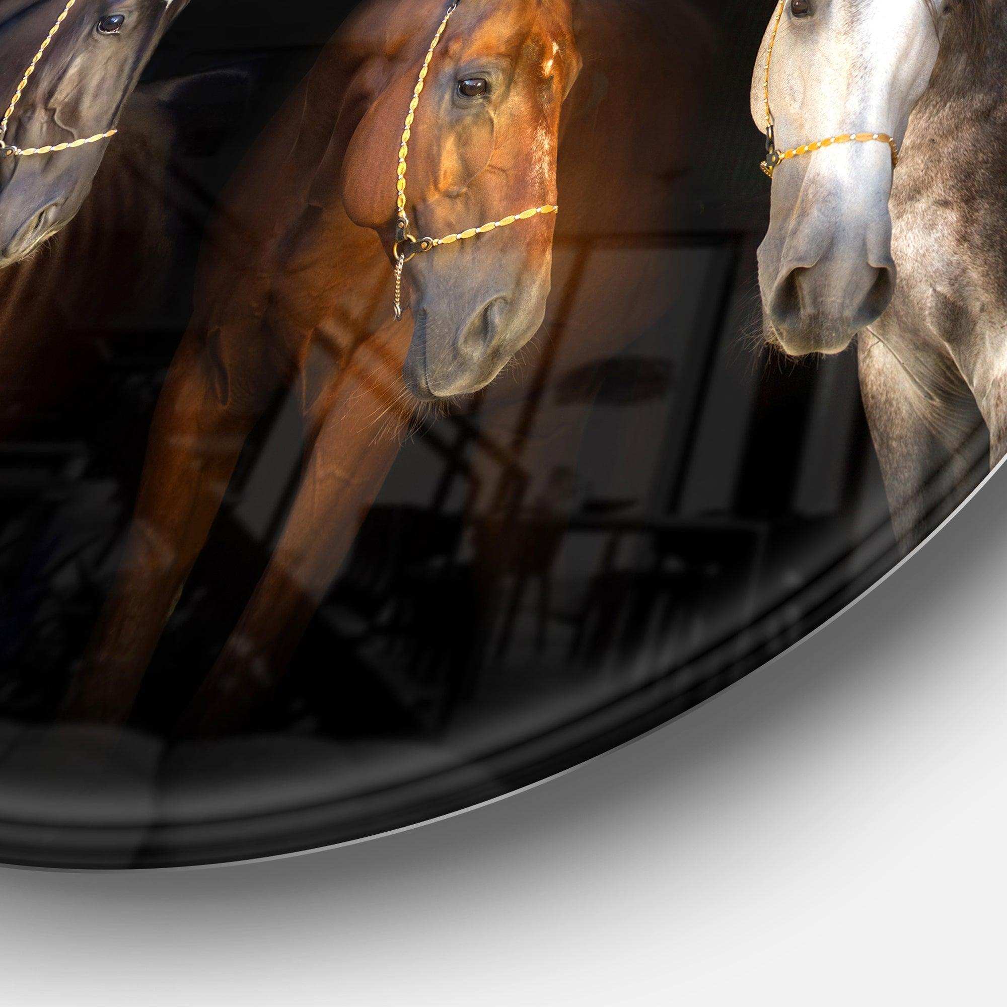 Three Horses with Golden Bridle - Animal Circle Metal Wall Decor