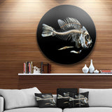 Fish Skeleton Bone on Black - Animal Round Metal Wall Art