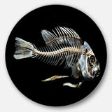 Fish Skeleton Bone on Black - Animal Round Metal Wall Art