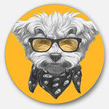 Maltese Poodle with Sunglasses - Animal Round Metal Wall Art