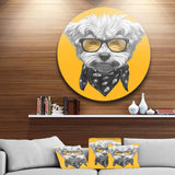 Maltese Poodle with Sunglasses - Animal Round Metal Wall Art