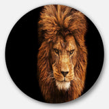 Face of Male Lion on Black - Animal Circle Metal Wall Decor