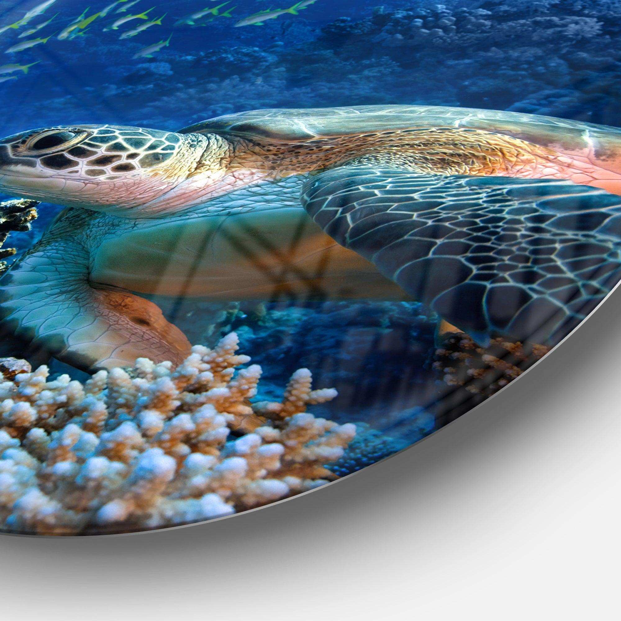 Large Sea Turtle underwater - Animal Circle Metal Wall Decor