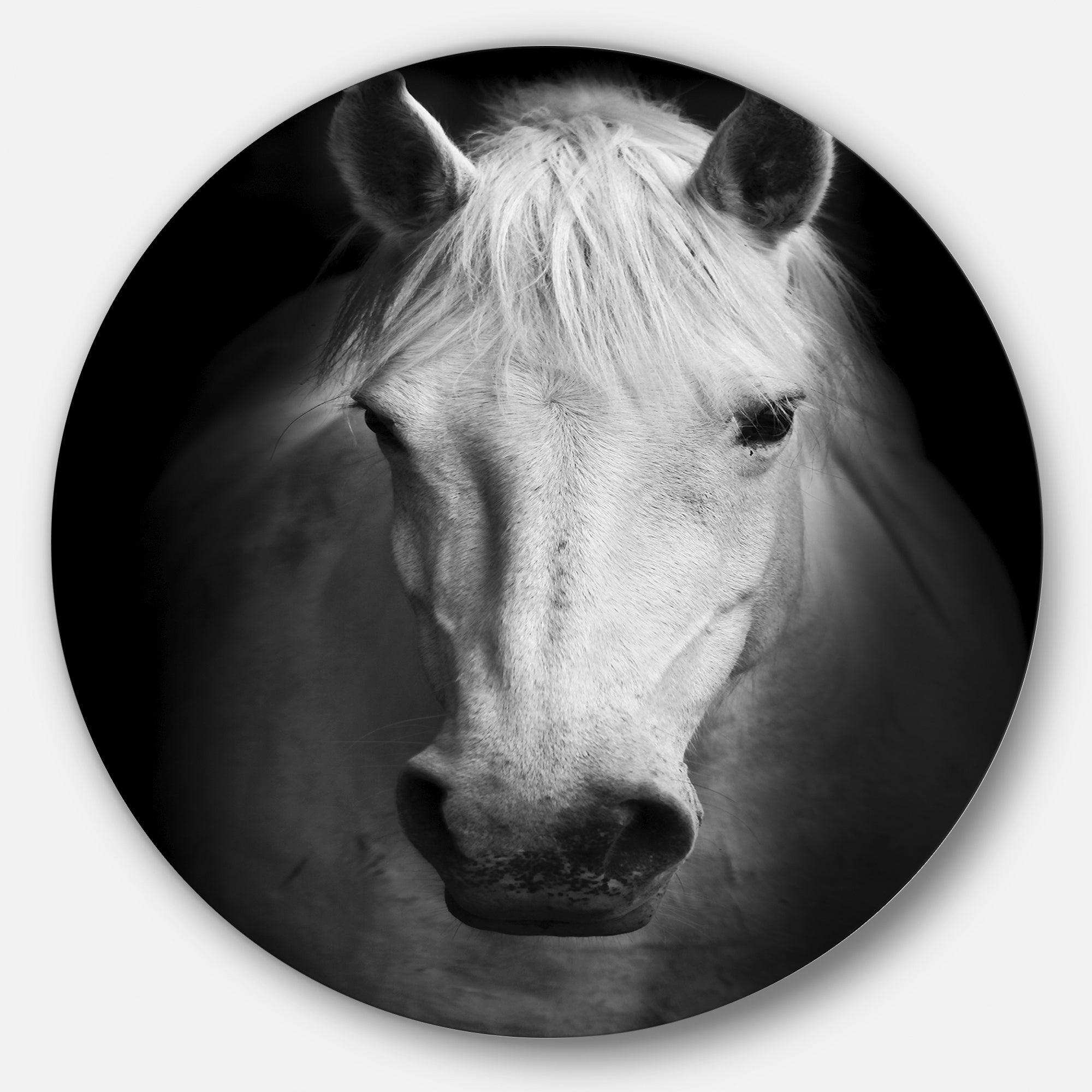 White Horse Black and White - Animal Metal Circle Wall Art