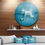 Polar Bear Swimming under Water - Animals Circle Metal Wall Art