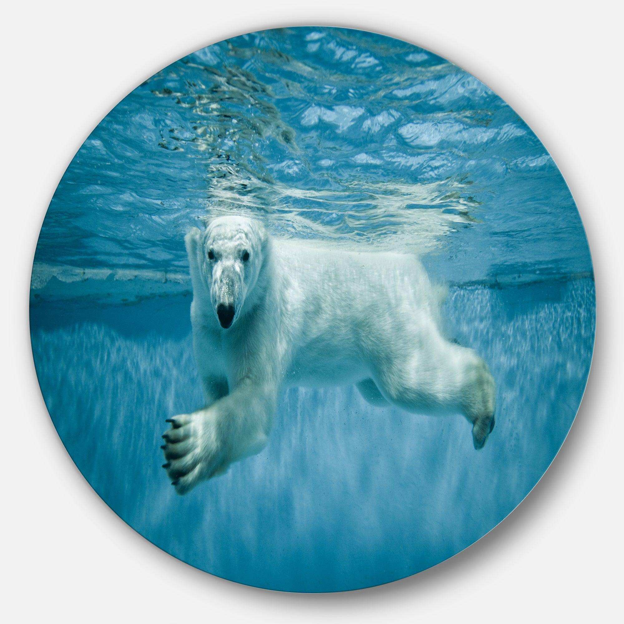 Polar Bear Swimming under Water - Animals Circle Metal Wall Art