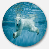 Polar Bear Swimming under Water - Animals Circle Metal Wall Art