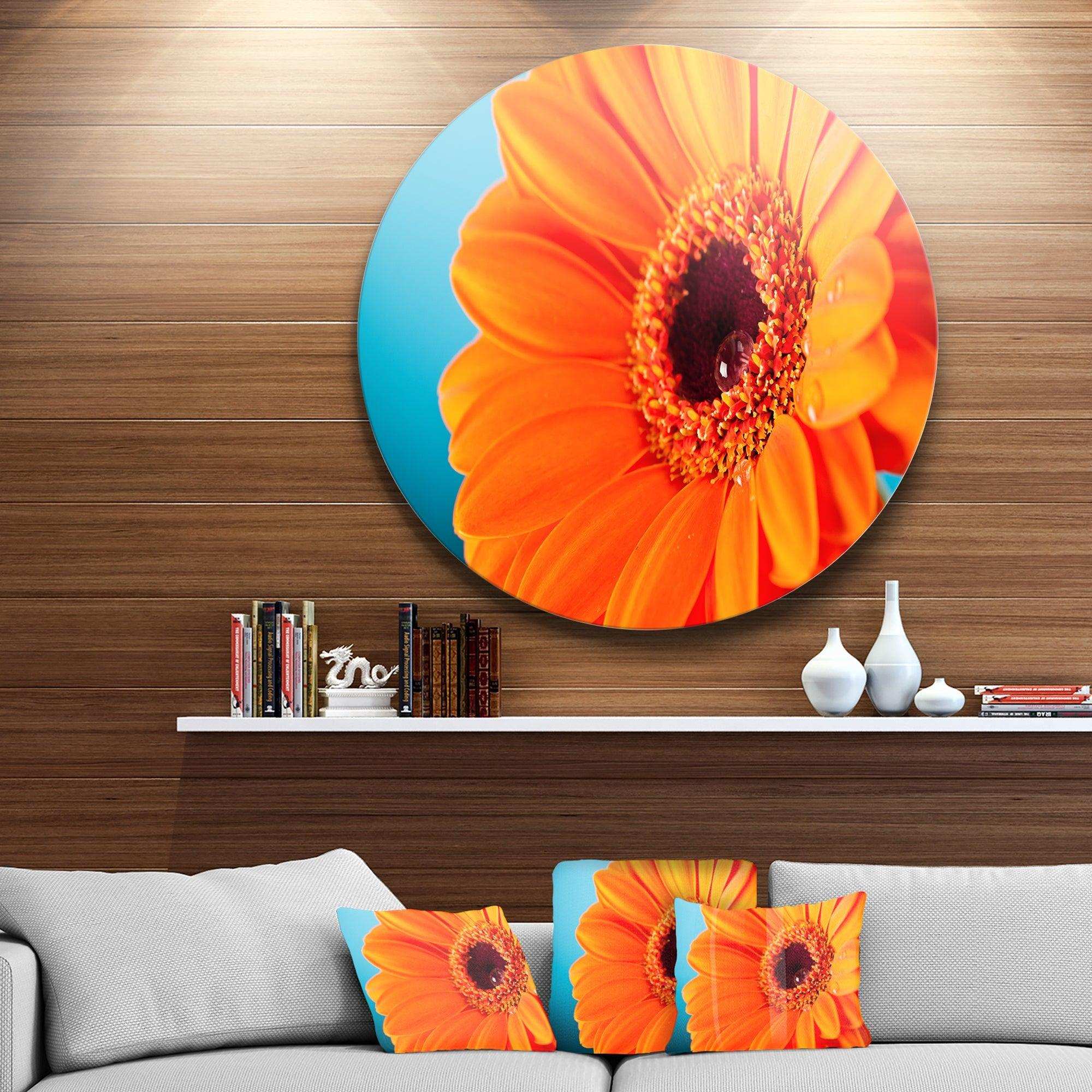 Orange Daisy Gerbera Flower Close up - Floral Metal Circle Wall Art
