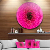 Macro Photo of Gerbera Flower - Floral Round Metal Wall Art