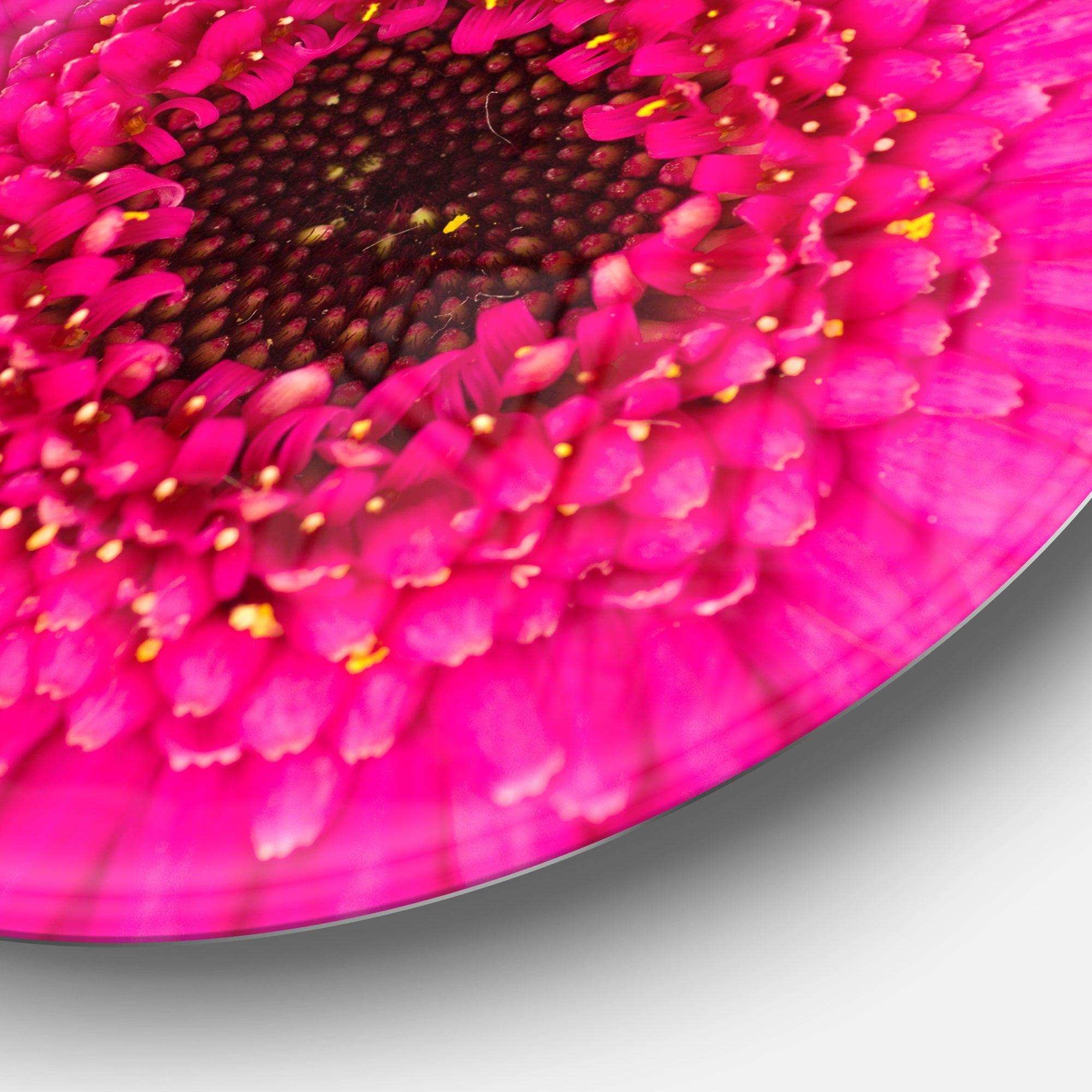 Macro Photo of Gerbera Flower - Floral Round Metal Wall Art