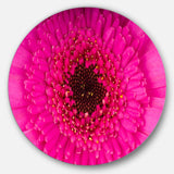 Macro Photo of Gerbera Flower - Floral Round Metal Wall Art