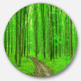 Pathway in Bright Green Forest - Landscape Metal Circle Wall Art