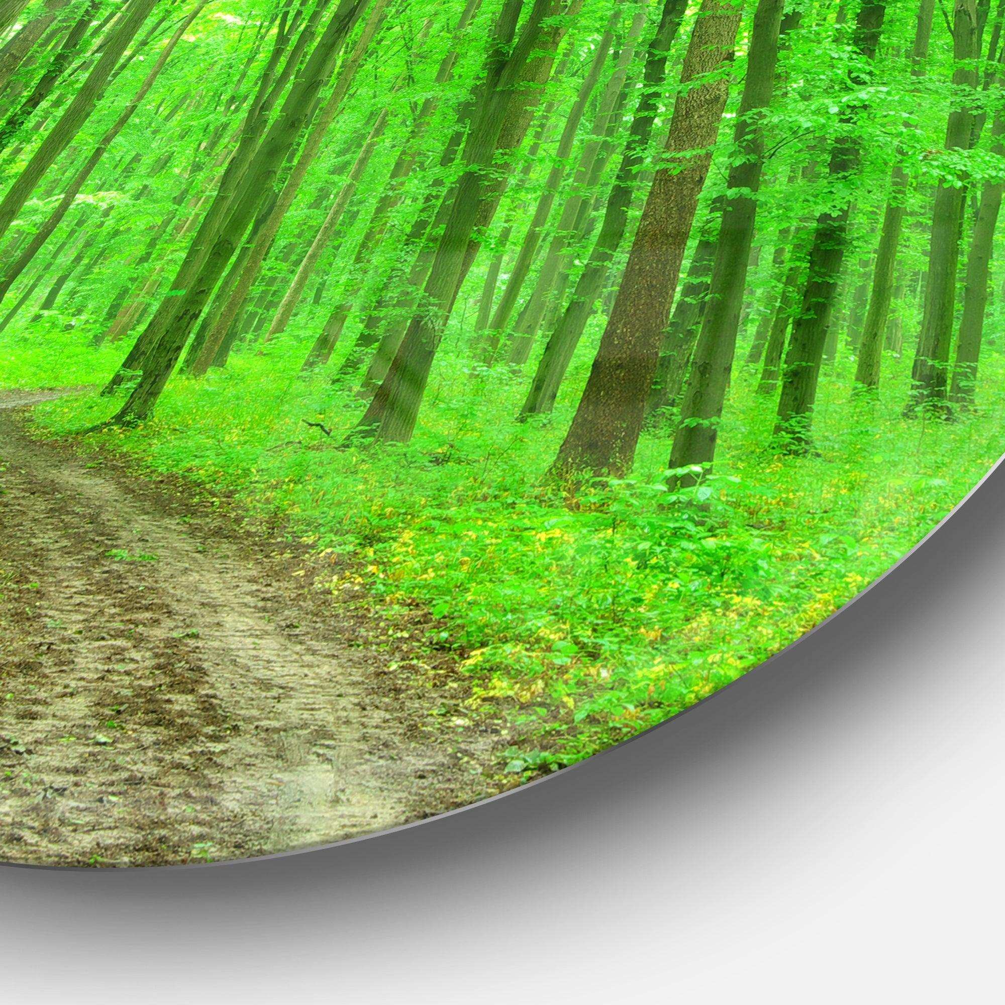 Pathway in Bright Green Forest - Landscape Metal Circle Wall Art