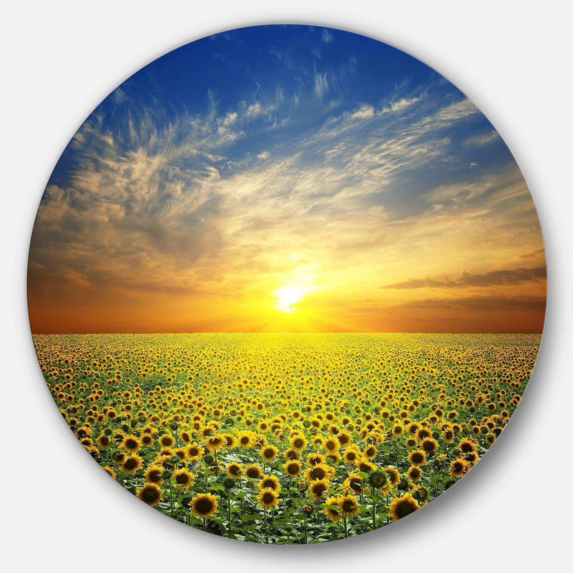 Beauty Sunset over Sunflowers Field - Floral Circle Metal Wall Decor
