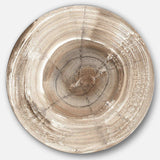 Circle natural elements I - Abstract Oversized Circle Metal Wall Art