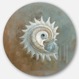 Seashell Treasures from the Sea III - Beach Oversized Circle Metal Wall Art