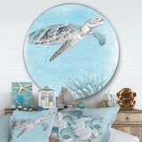 Coastal Sea Life I Turtle sketches - Animal Metal Circle Wall Art