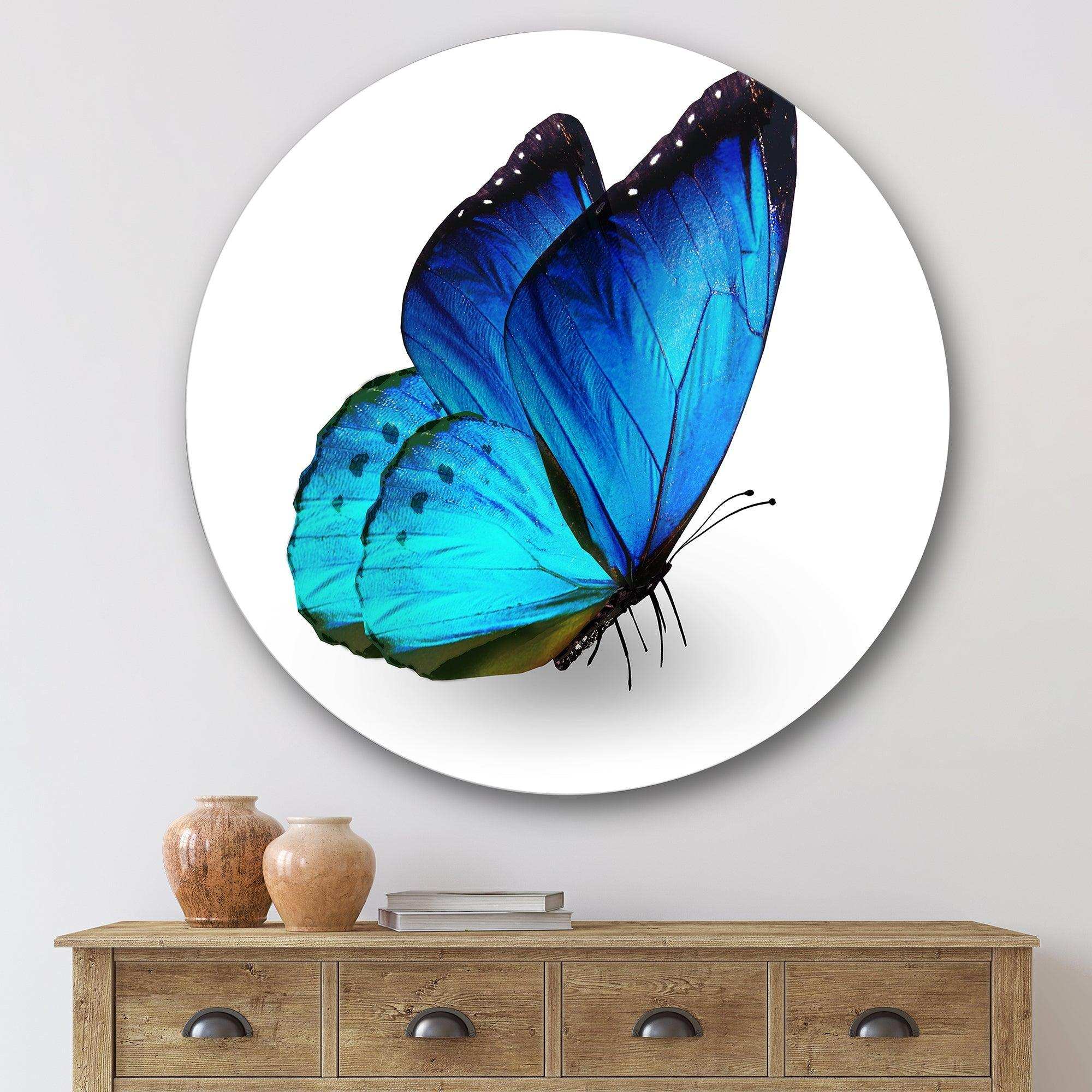 Vibrant Blue Butterfly - Animal Metal Circle Wall Art