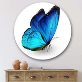 Vibrant Blue Butterfly - Animal Metal Circle Wall Art