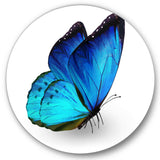 Vibrant Blue Butterfly - Animal Metal Circle Wall Art