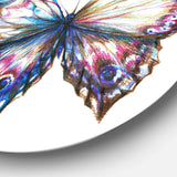 Isolated Butterfly - Animal Round Metal Wall Art