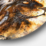 Lion Collage - Animal Metal Circle Wall Art