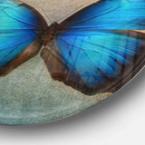 Blue Vintage Butterfly - Floral Oversized Circle Metal Wall Art