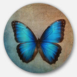 Blue Vintage Butterfly - Floral Oversized Circle Metal Wall Art