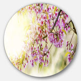 Blooming Cherry Flowers - Floral Photography Round Metal Wall Art