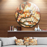 Big Tree - Floral Photography Metal Circle Wall Art