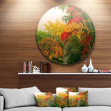 Colorful Maple Trees - Floral Photography Metal Circle Wall Art