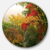 Colorful Maple Trees - Floral Photography Metal Circle Wall Art