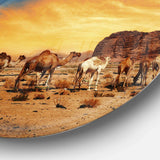 Camels in Wadi Rum - Landscape Photography Metal Circle Wall Art